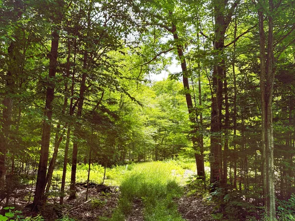 0 Peplinskie Rd, Madawaska Valley, ON K0J 1L0