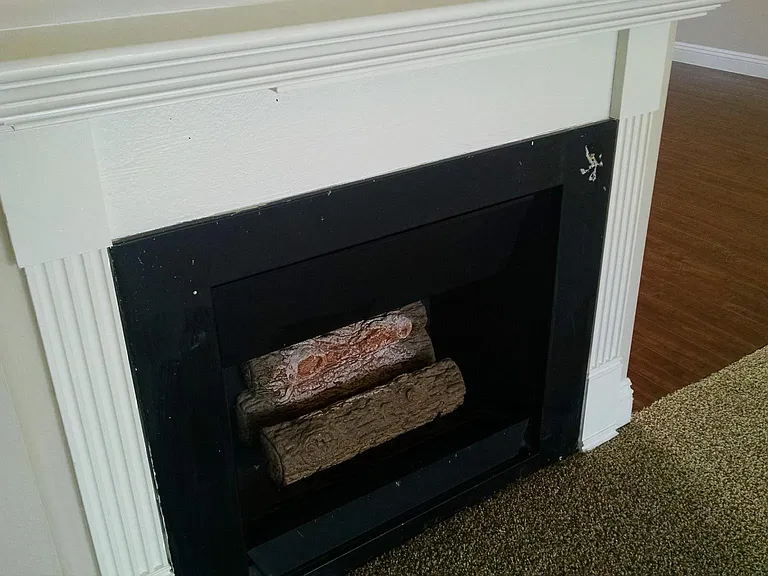 Living Room Fireplace