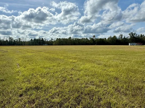 0 Alpine Trl, Willacoochee, GA 31650