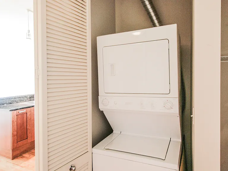 170 W Polk St #802 — Photo 13
