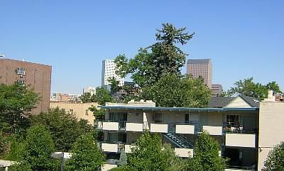 5th image of 555 E 10th Ave APT 307