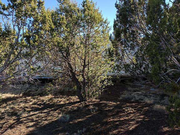 4th image of 579 County Road 3144