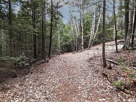 4th image of 55 Salmon Road