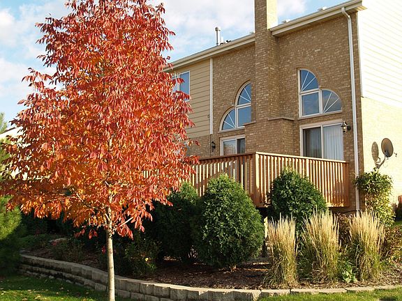 5th image of 8620 Tullamore Dr