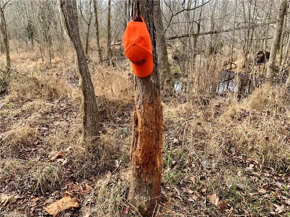 0 Sagebrush Rd, Ruffin, NC 27326