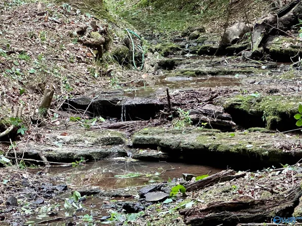 33005 Highway 99, Anderson, AL 35610