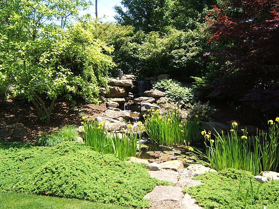 pond and waterfall