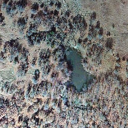 50 fenced wooded acres with pond