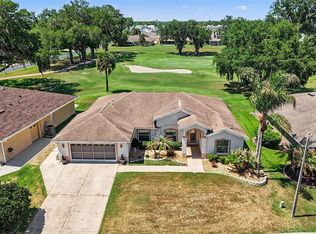 11132 MOSHIE LANE, SAN ANTONIO, FL 33576