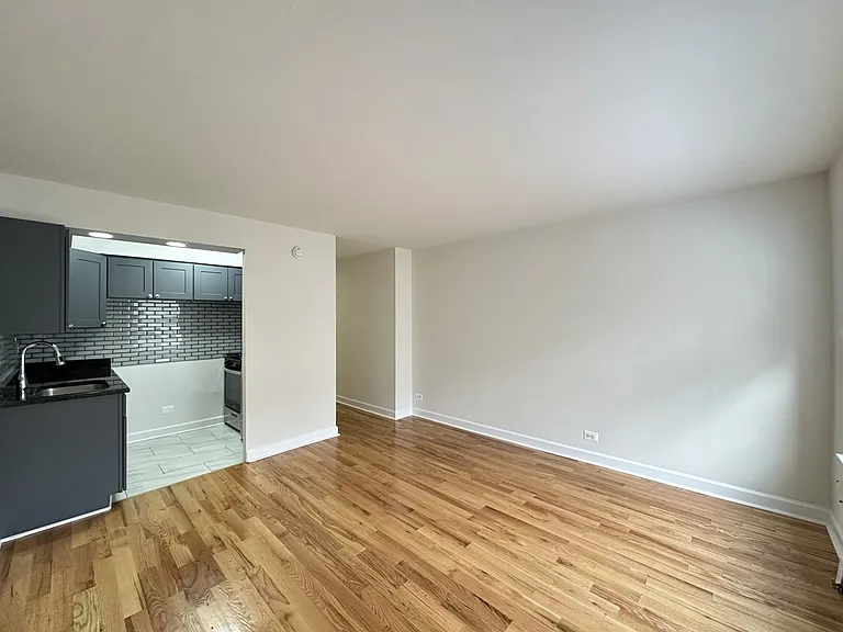 6830 N Sheridan Rd #452 — Photo 8