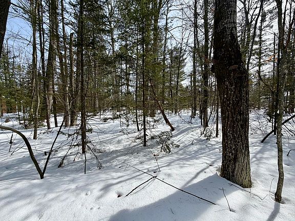 4th image of 4962 Chamberlain Rd