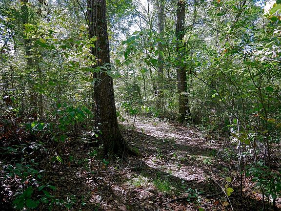 2nd image of 9948 Richardson Rd