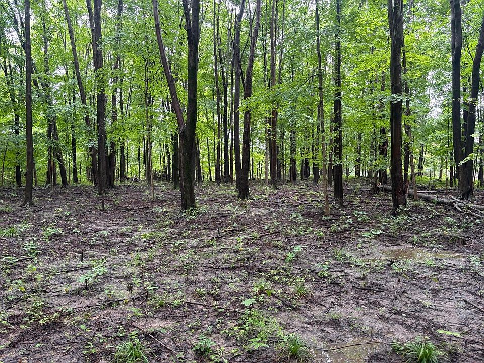 1st image of 0 W Orange Rd