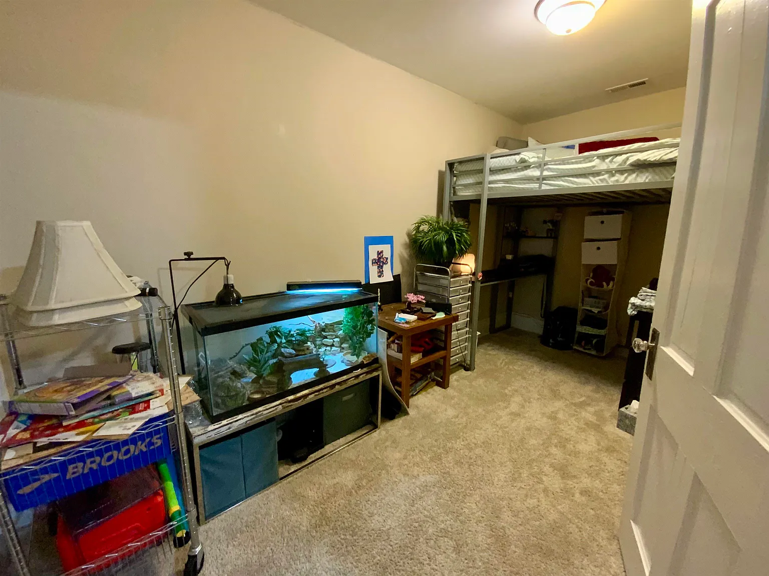 3 bed, 1.0 bath, 926 sqft, $1,800 — Photo 4