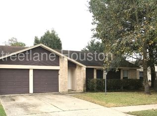 21110 Fernhollow Ln, Spring, TX 77388