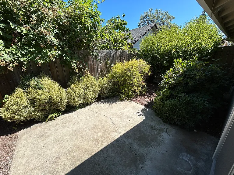 Back patio
