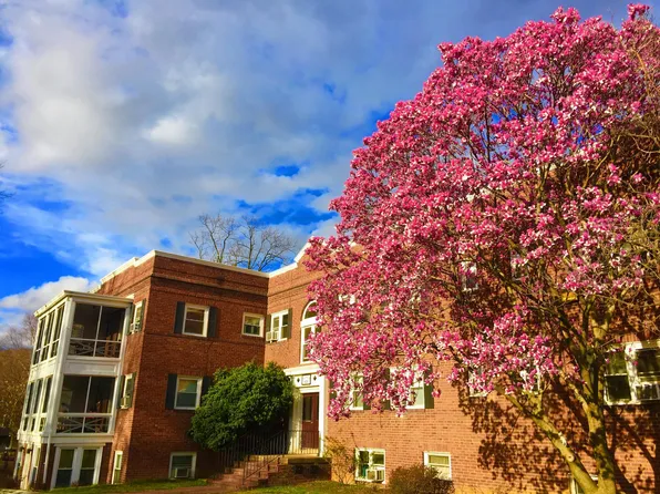 605 N Irving St #2, Arlington, VA 22201