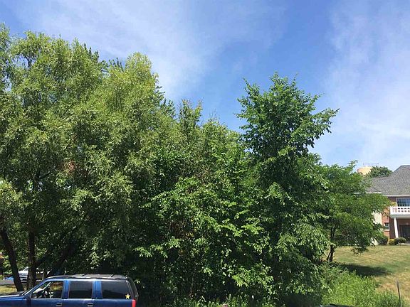3rd image of 31 Indian Pipe Dr