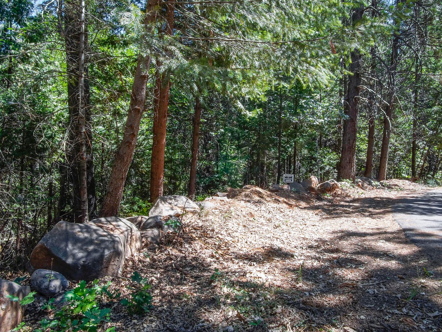 Lisa Glen Ct 44, Shingletown, CA 96088 Zillow