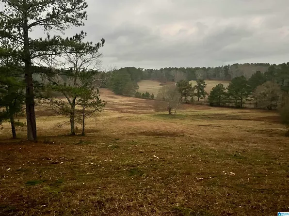 2020 Church Rd #2020, Pell City, AL 35128
