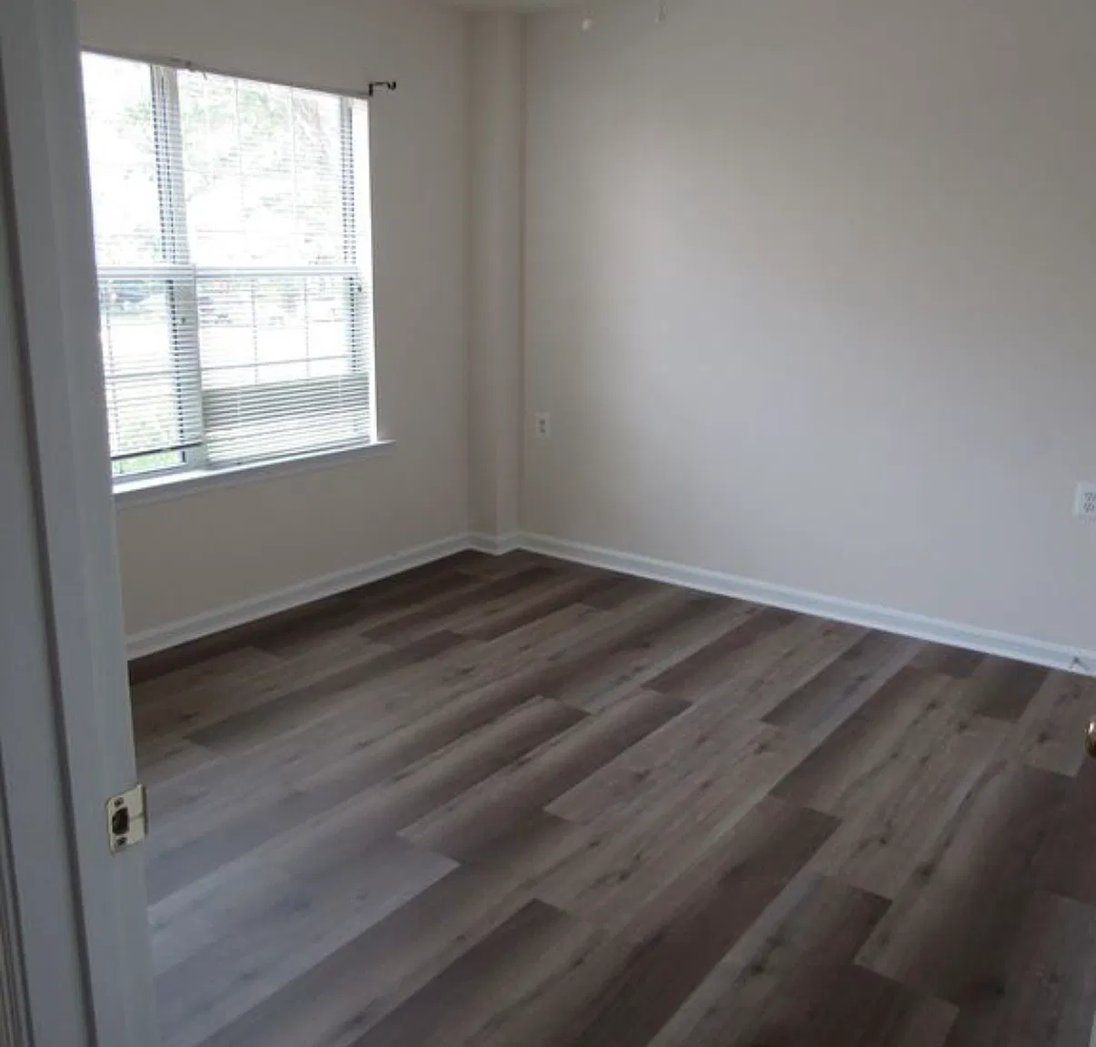 2 bed, $1,175 — Photo 1