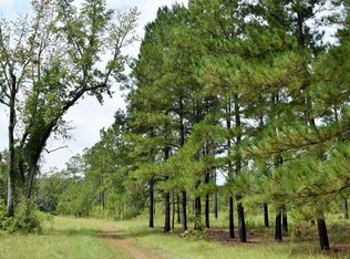 3888 June Burn Rd, Manning, SC 29102