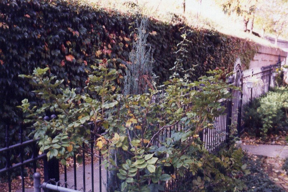 Front Walkway