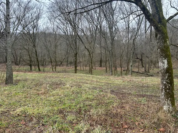 0 Herman Kirby Rd, East Bernstadt, KY 40729