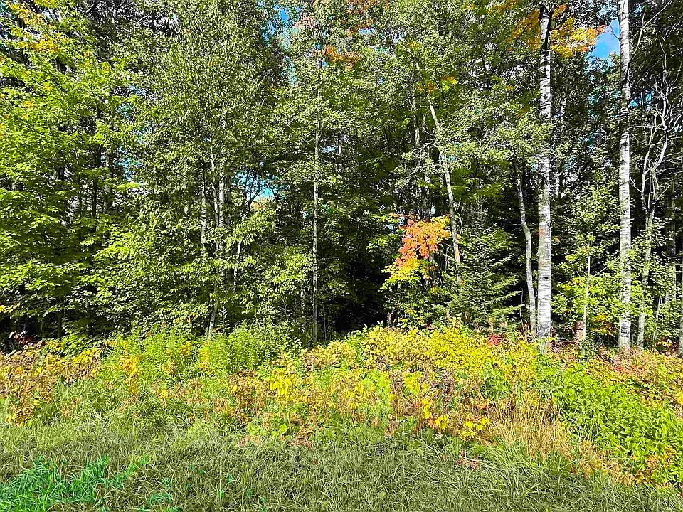 1st image of 4.72 Acres on Lavaque Bypass