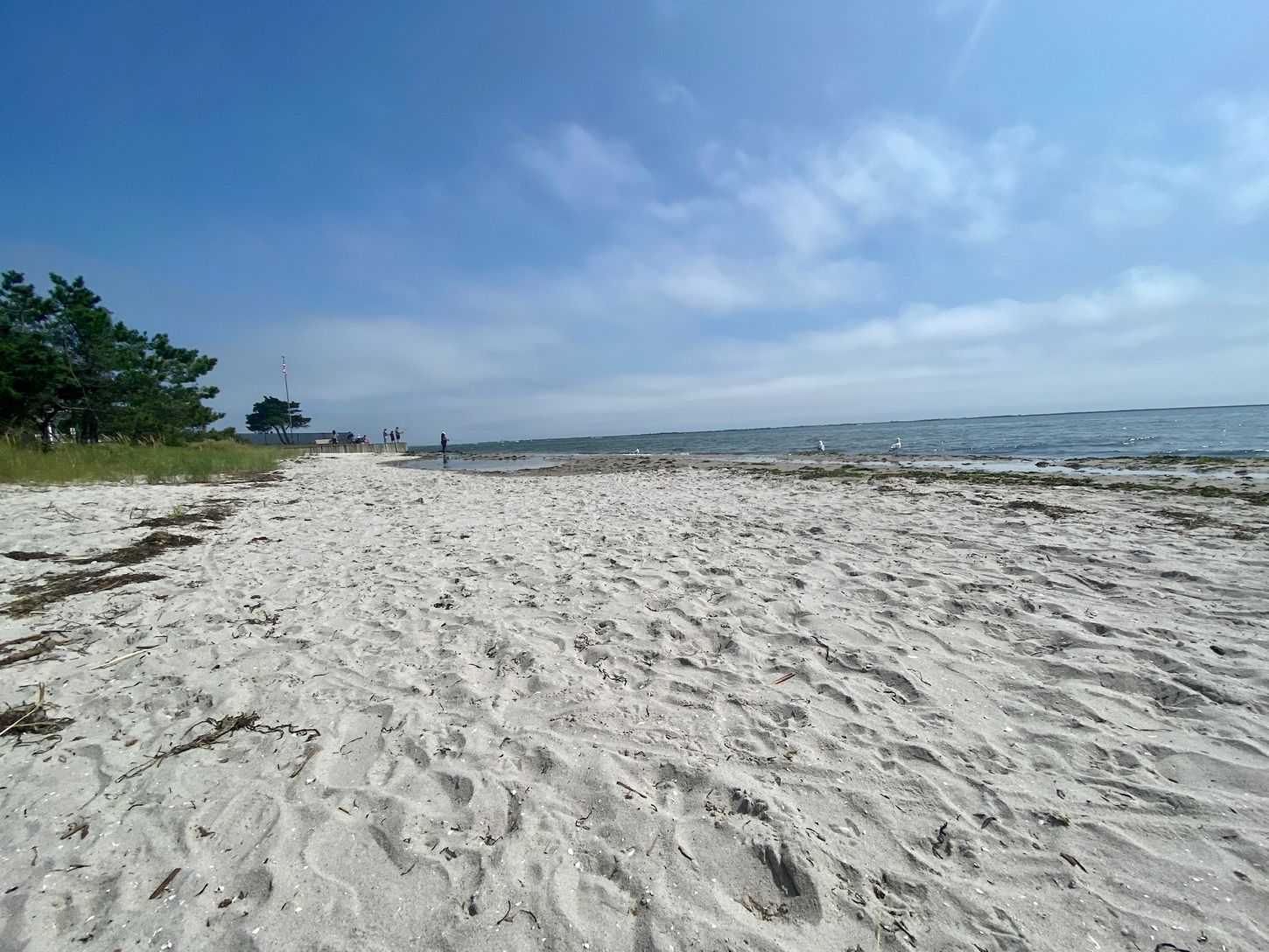 Webby's Beach - Neighborhood Bay Beach (No pass required)