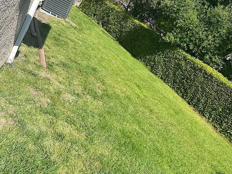 8550 Paseo De Caballo — Photo 3