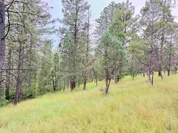 207 Bell Canyon Rd, Cloudcroft, NM 88317