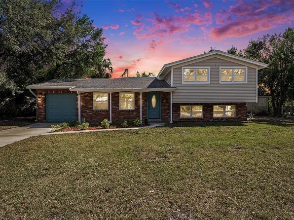 407 Cranberry Ln, Brandon, FL 33510