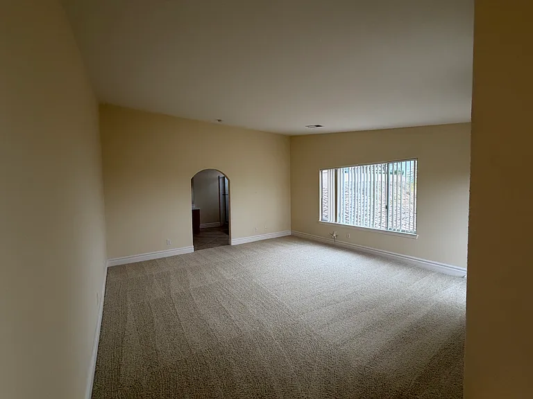 6833 Urubu St — Photo 28