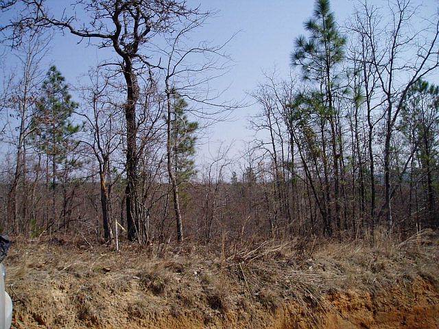 1st image of 171 Bonnie Blue Dr