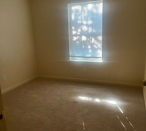 5th image of 224 Ingle Ave