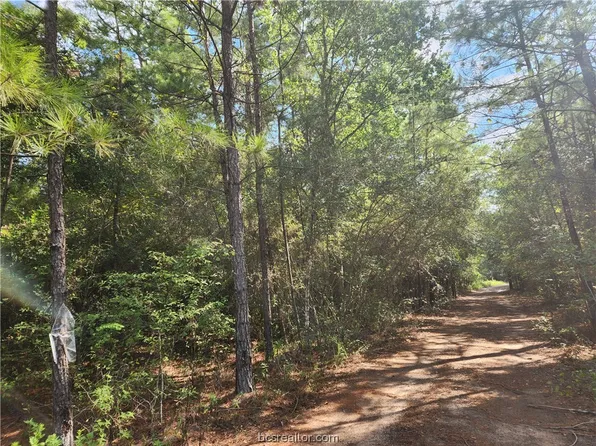 LOT 22 Sycamore Ln, Plantersville, TX 77363