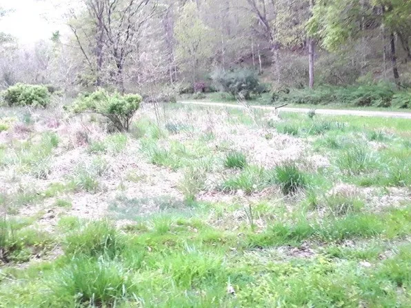 1485 Hollywood Rd, Newton, WV 25266