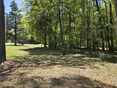 0 Boiling Springs Rd, Barnwell, SC, 29812