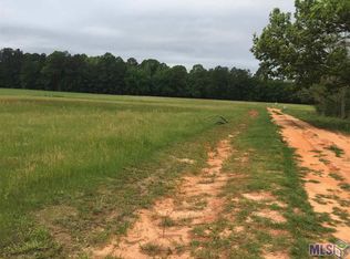 36111 State Highway 441, Holden, LA 70744