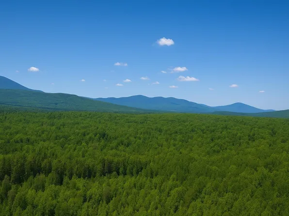 0 Mud Pond Road, Dummer, NH 03588