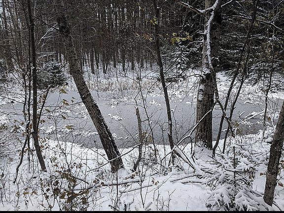 4th image of 13375 Viaduct Rd