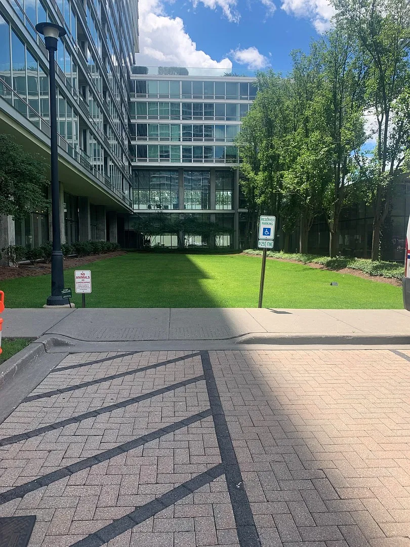 1 bed, 801 sqft, $2,500 — Photo 2