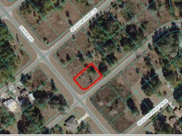 0 SEQUOIA DRIVE COURT LOT 25, OCKLAWAHA, FL 32179