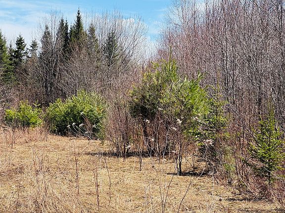 3rd image of 1B Aroostook Scenic Highway