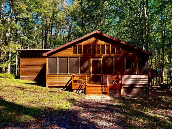 768 Timberline Dr, Lost City, WV 26810