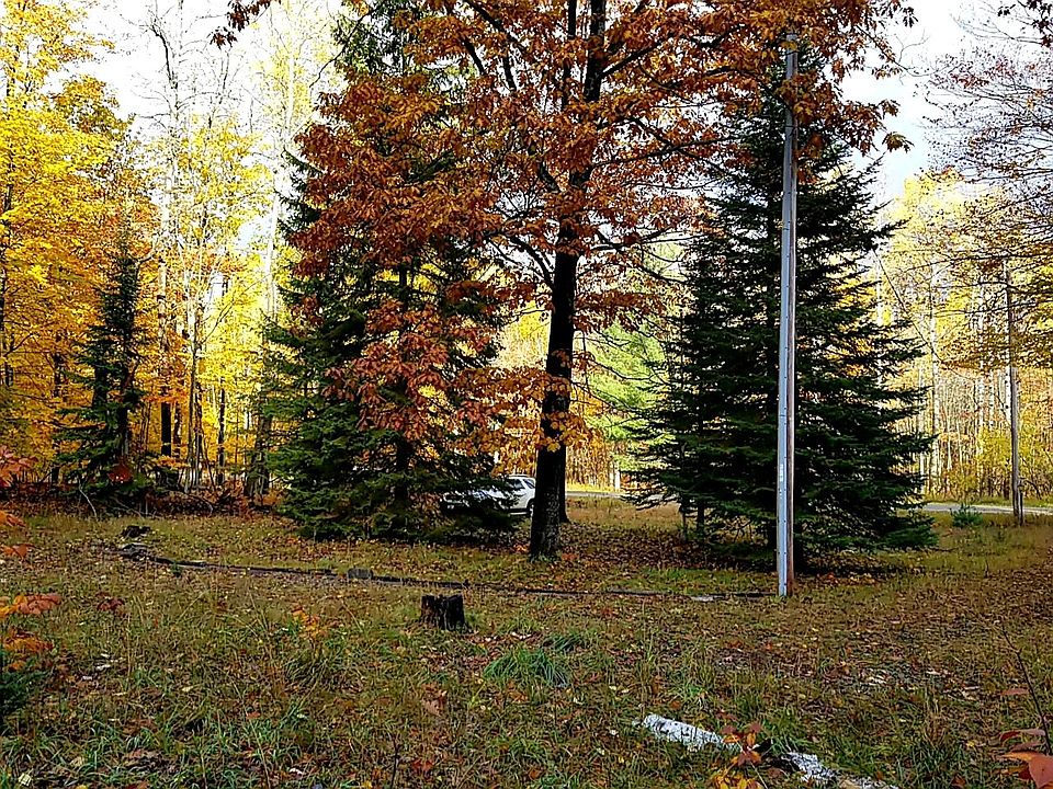 11399 Douglas Lake Rd, Pellston, MI 49769 Zillow