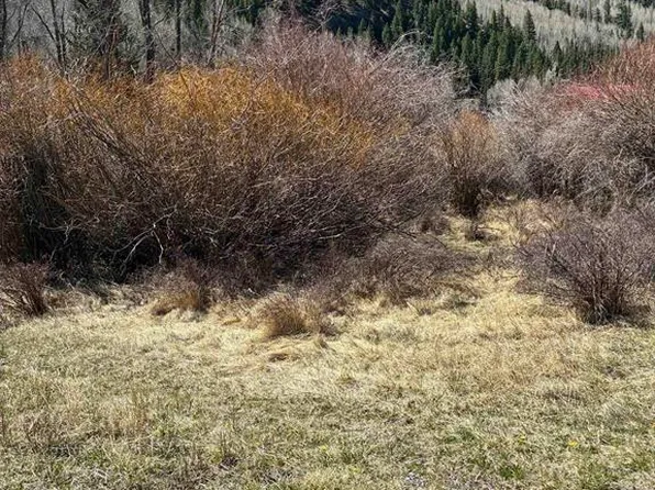Lot 48 Cottonwood Drive, Antonito, CO 81120