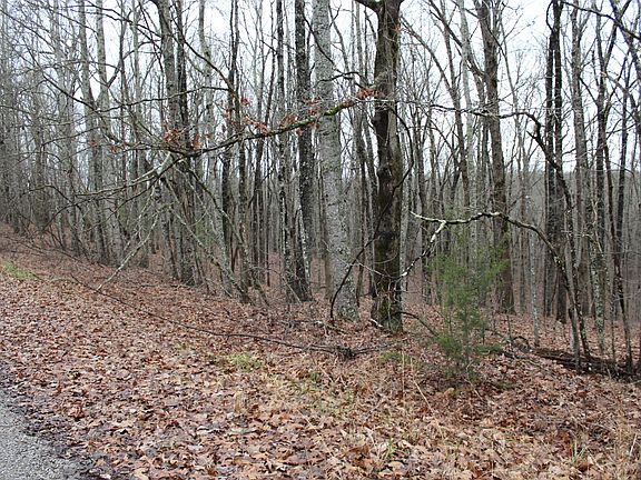 2nd image of 184 Beachwood Dr Lot 36