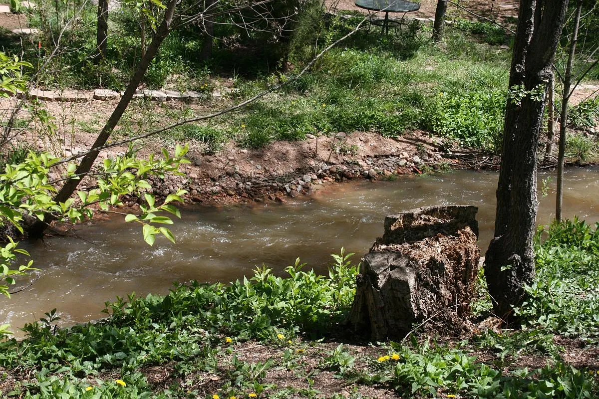 creek near property - 134 Creekside Ln